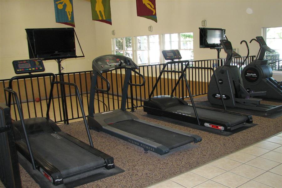 Gallery Photo 46