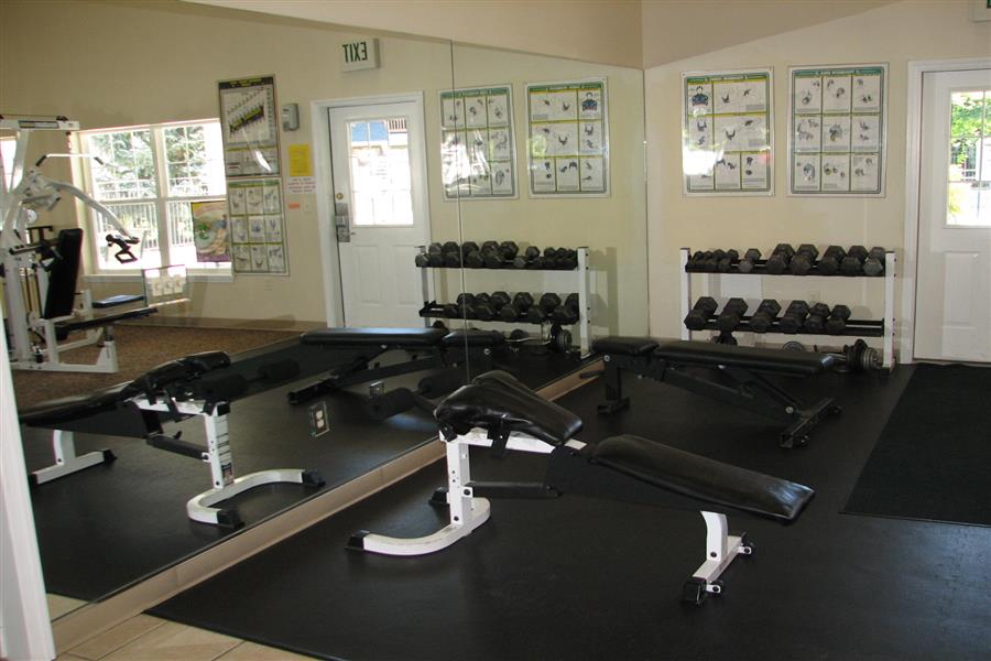 Gallery Photo 48
