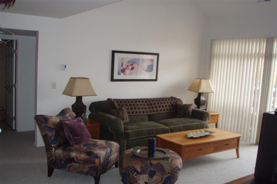 Gallery Photo 53