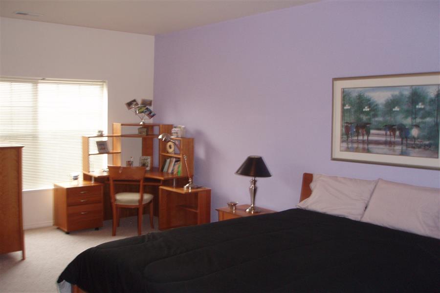 Gallery Photo 71