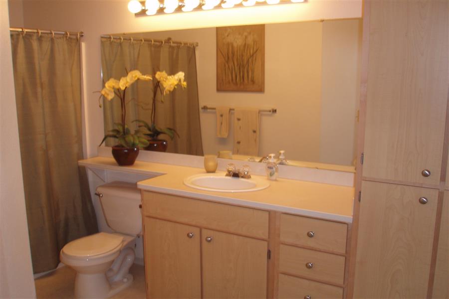 Gallery Photo 73