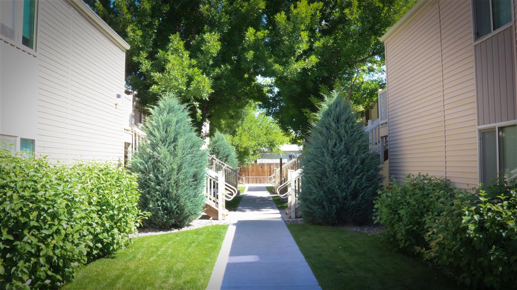 Gallery Photo 16