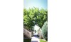 Gallery Image 21