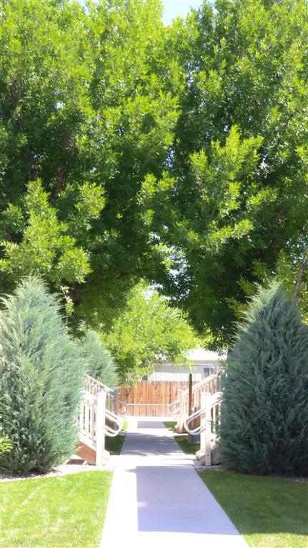 Gallery Photo 23