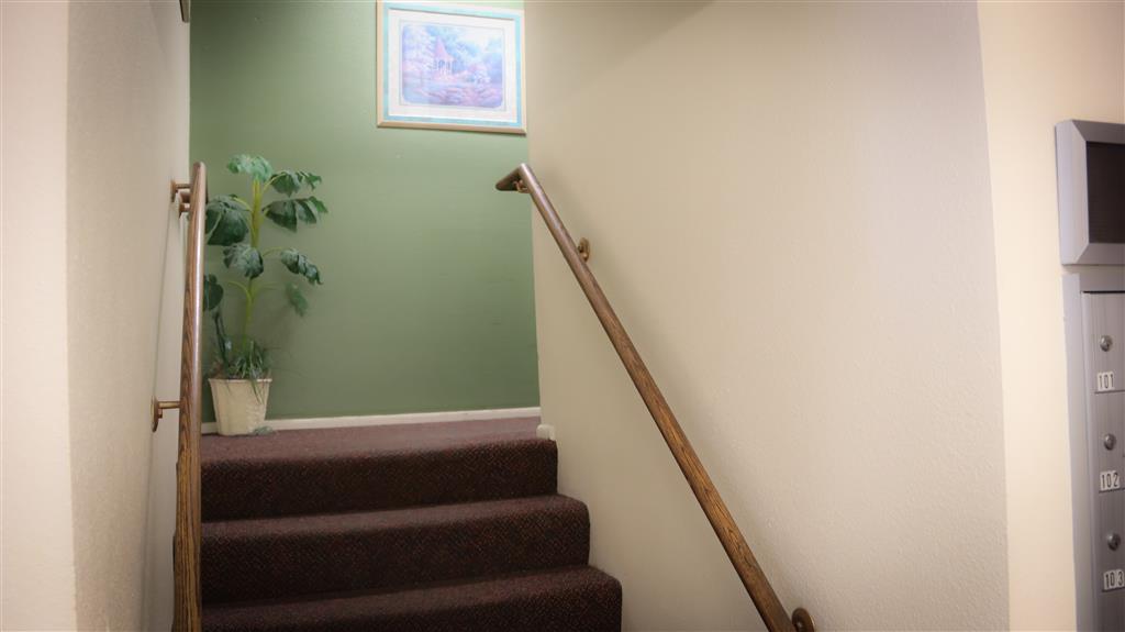 Gallery Photo 13