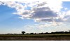 Gallery Image 21