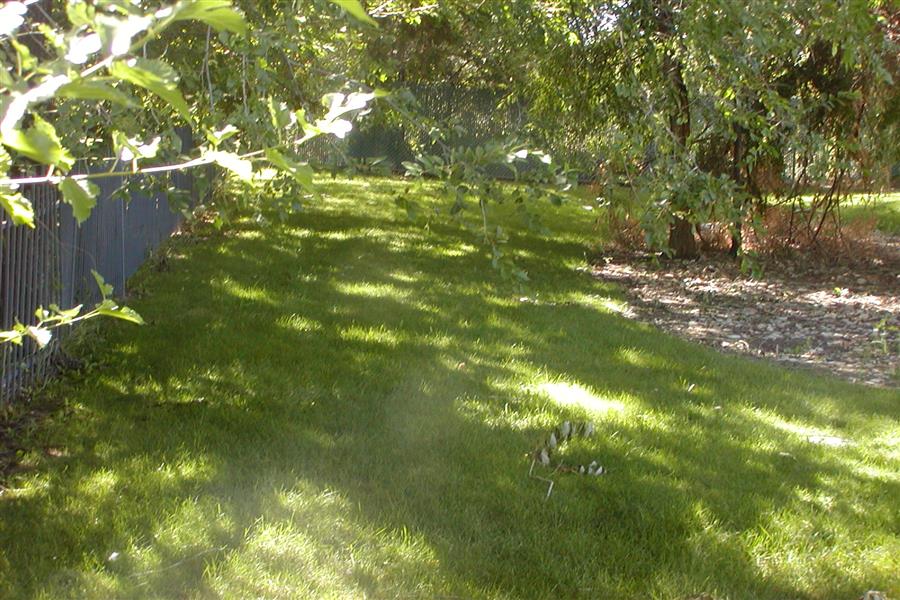 Gallery Photo 15