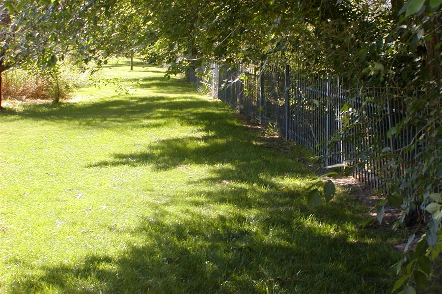 Gallery Photo 16
