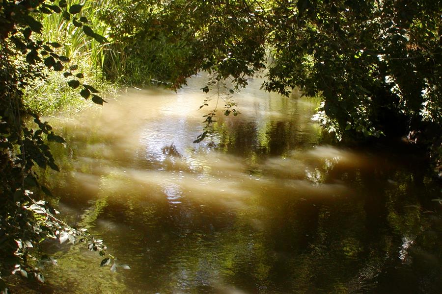 Gallery Photo 18