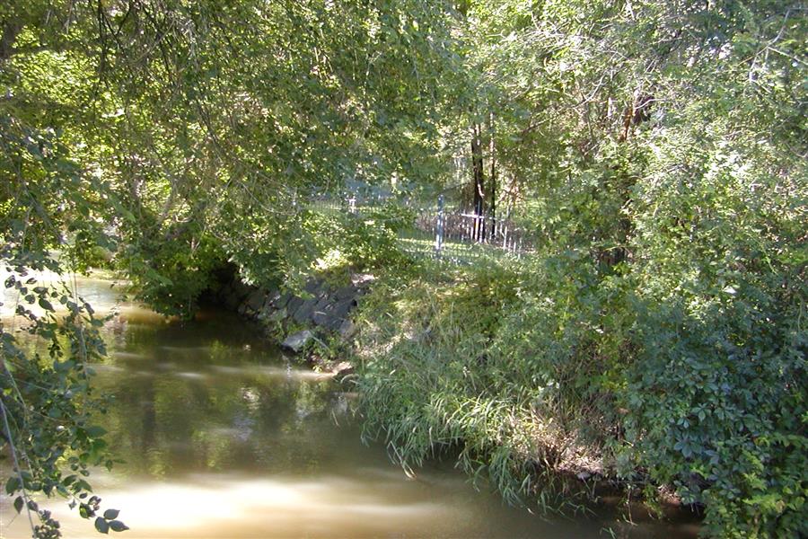 Gallery Photo 22