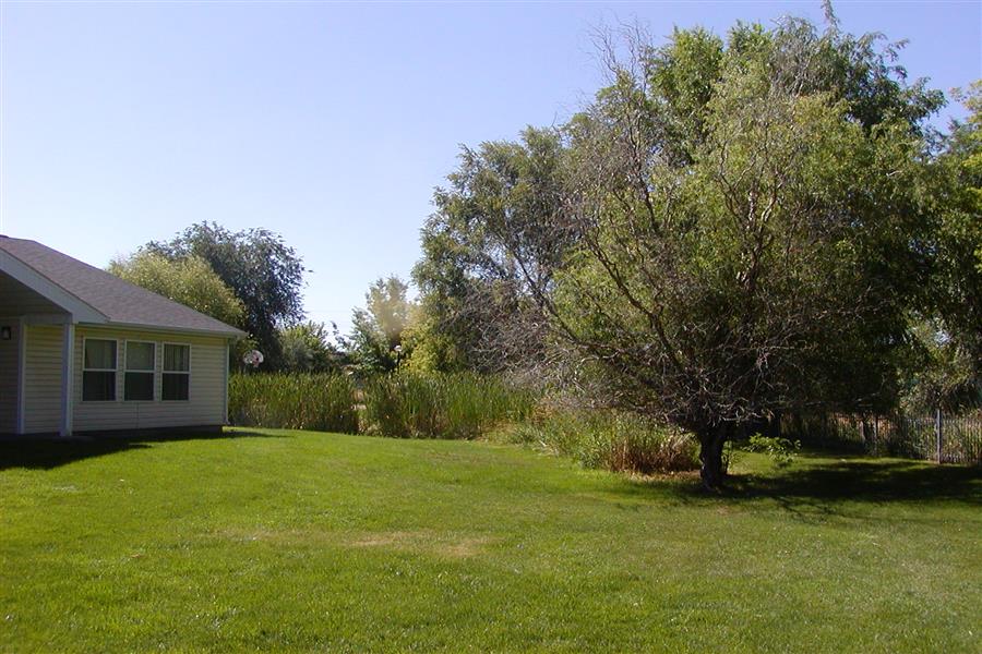 Gallery Photo 26