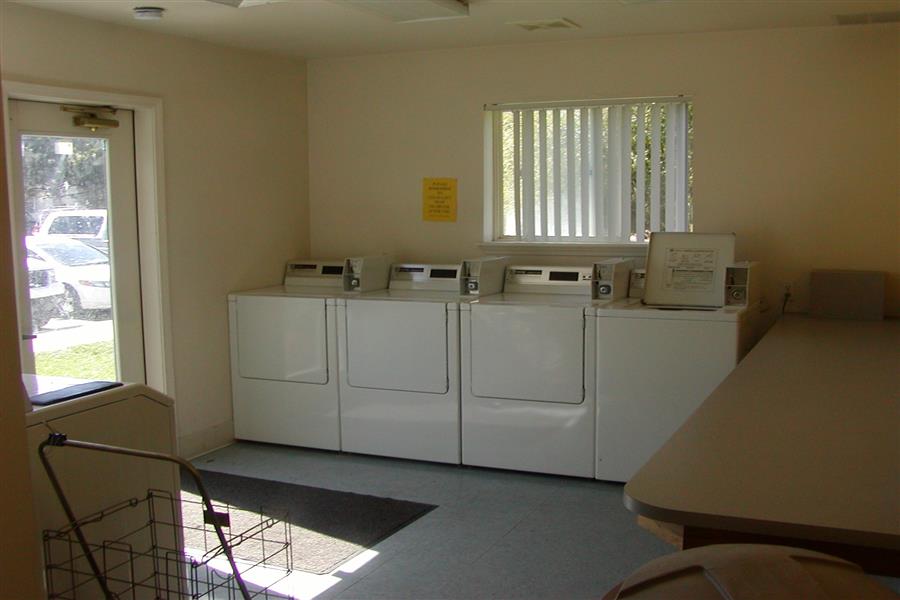 Gallery Photo 32
