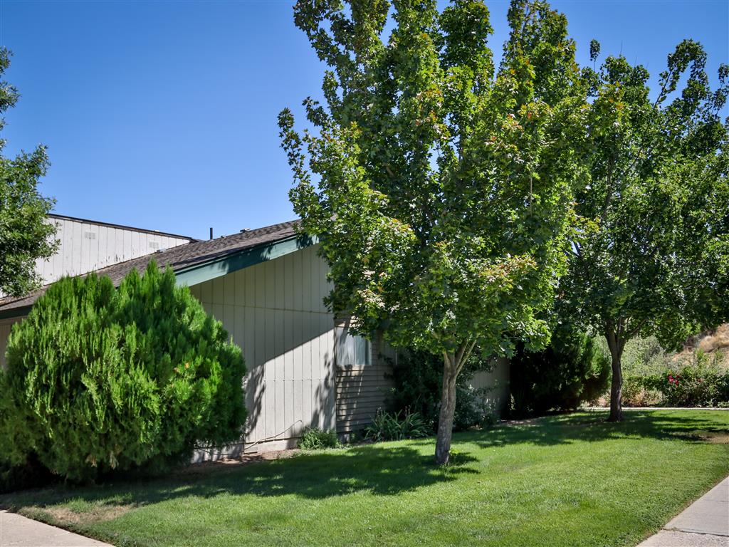 Gallery Photo 13