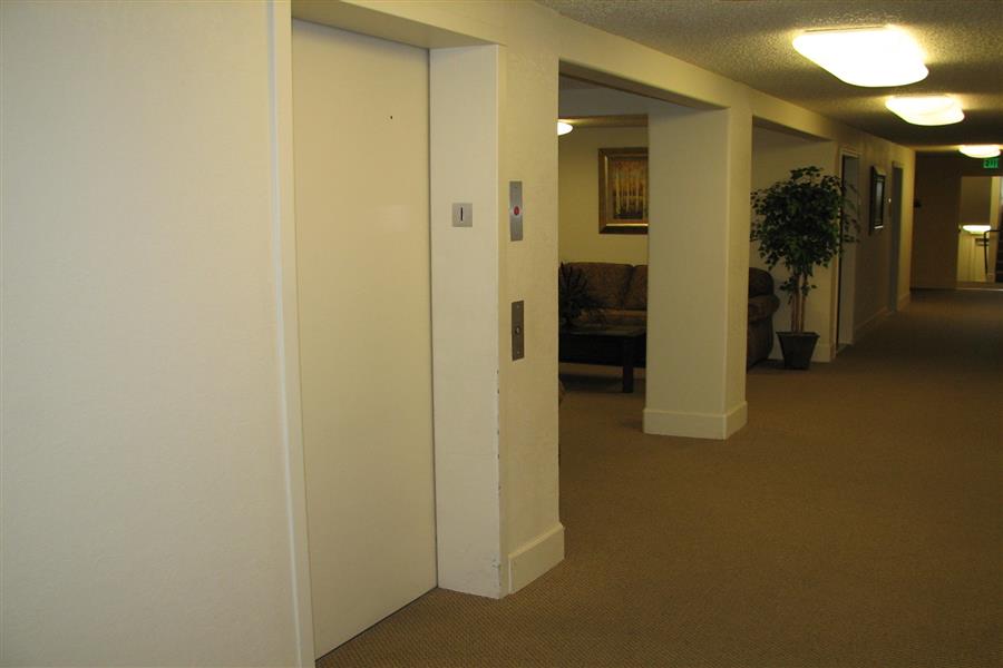 Gallery Photo 34