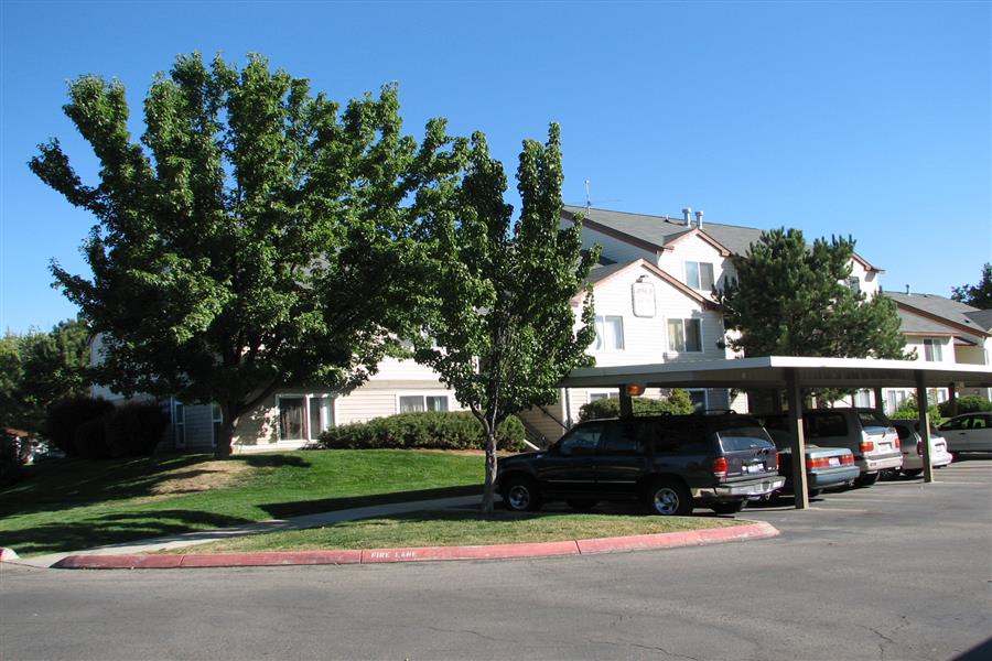 Gallery Photo 19