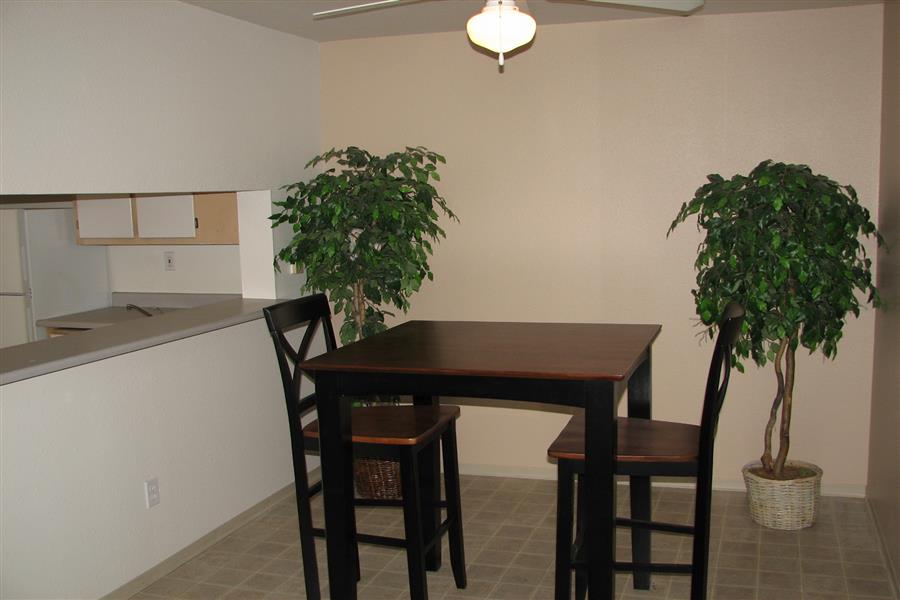 Gallery Photo 61