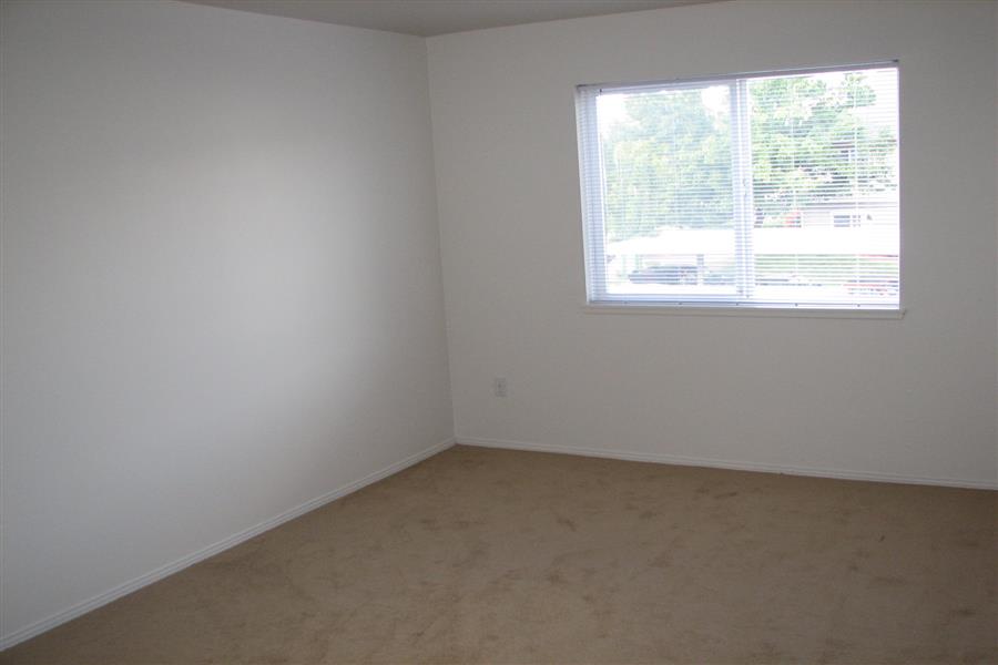 Gallery Photo 62