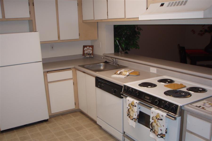 Gallery Photo 66