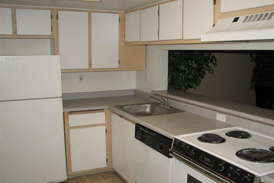 Gallery Photo 71