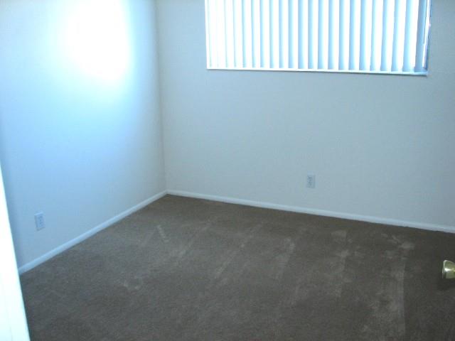 Gallery Photo 21