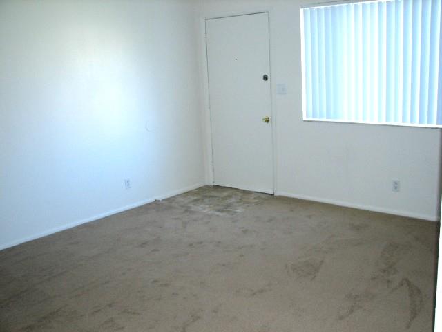 Gallery Photo 26
