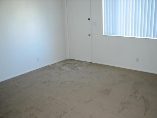Gallery Photo 27