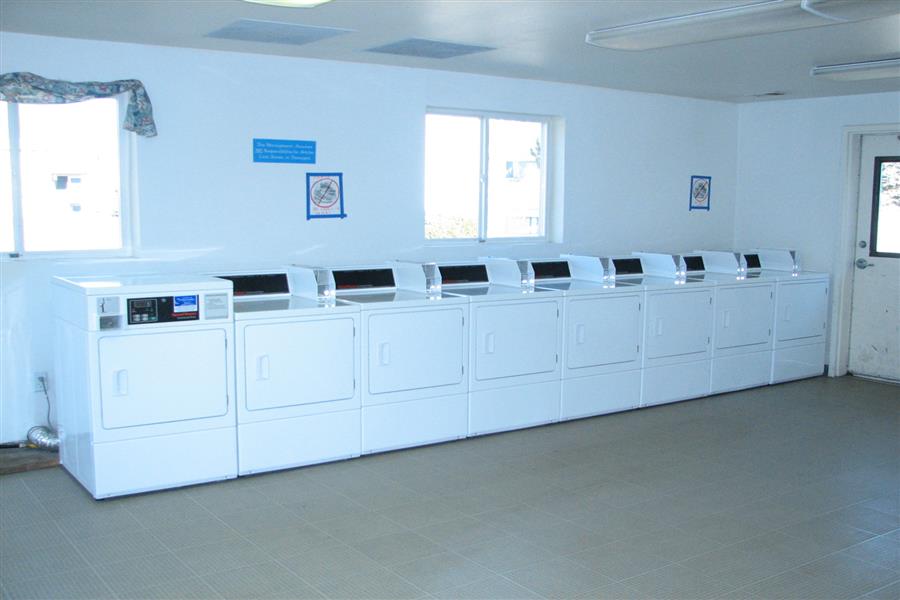 Gallery Photo 28