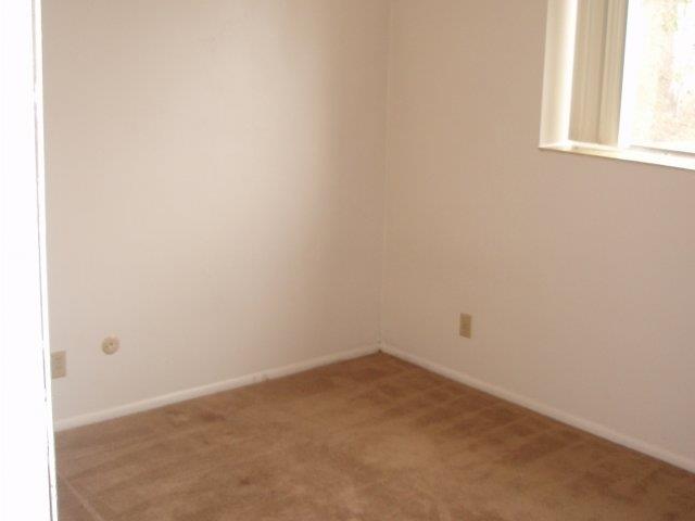 Gallery Photo 34