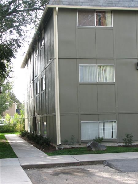 Gallery Photo 3