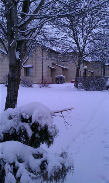 Gallery Photo 13
