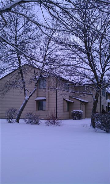 Gallery Photo 14