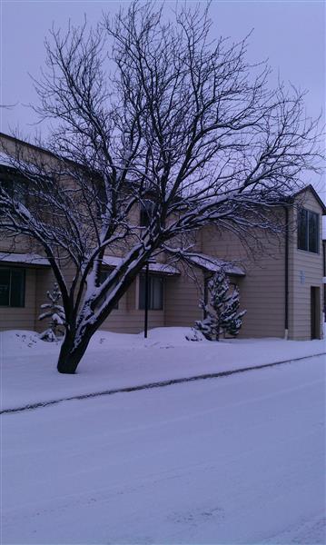 Gallery Photo 15