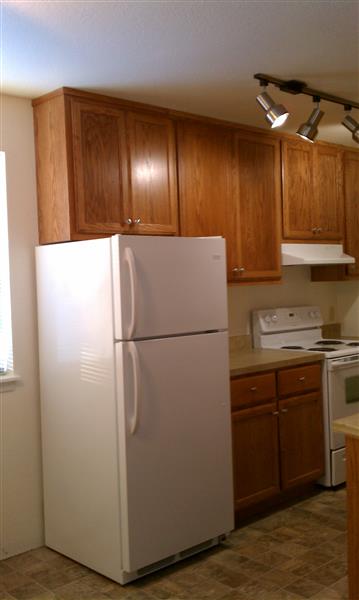 Gallery Photo 25