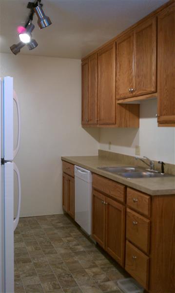 Gallery Photo 26