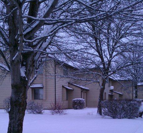 Gallery Photo 28