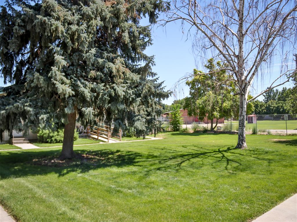 Gallery Photo 15