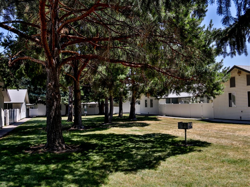 Gallery Photo 23