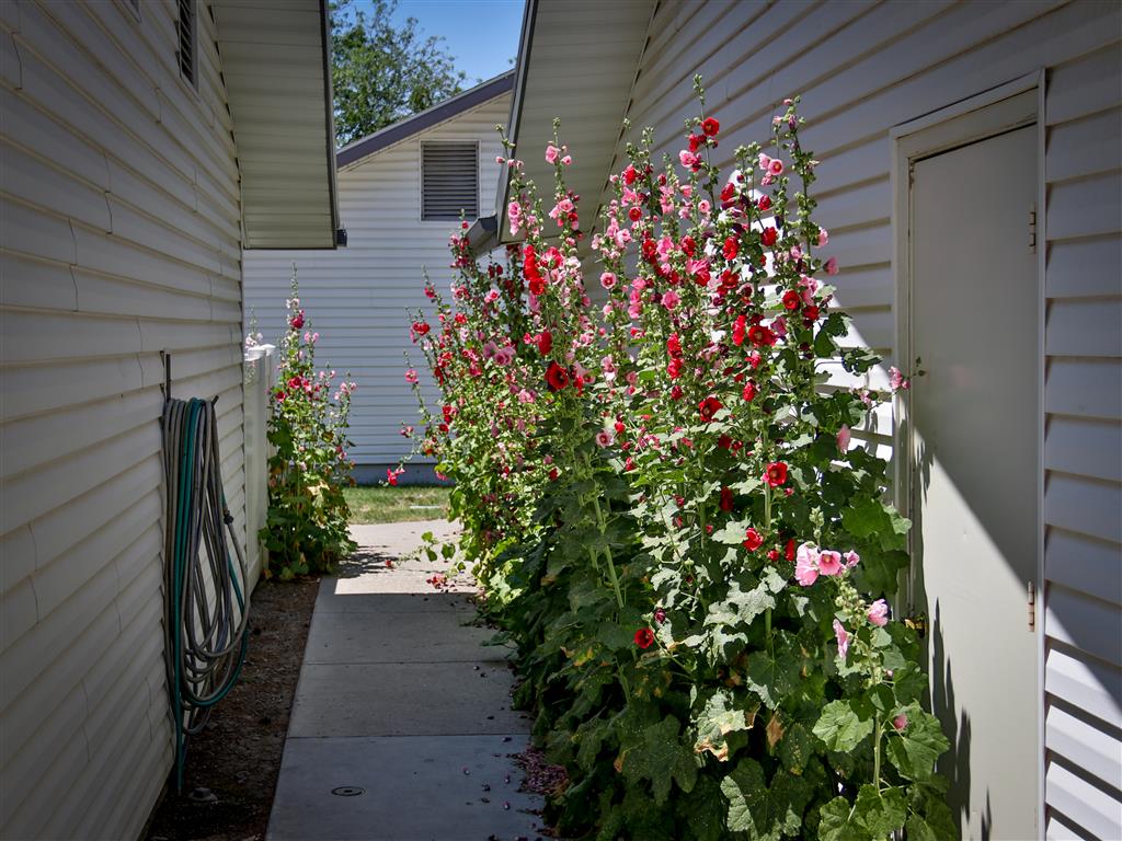Gallery Photo 37