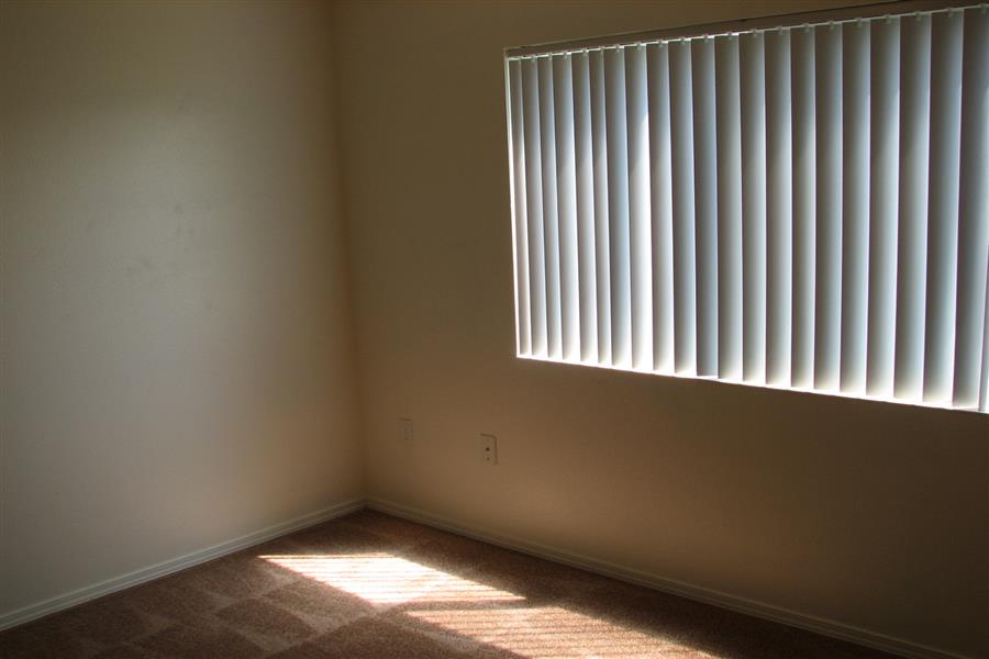 Gallery Photo 33