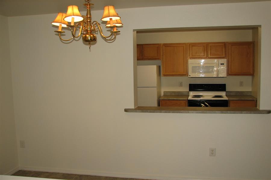 Gallery Photo 34