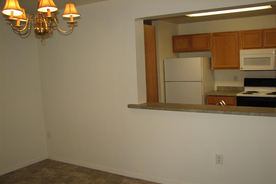Gallery Photo 35