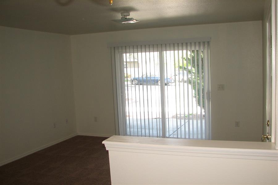 Gallery Photo 37