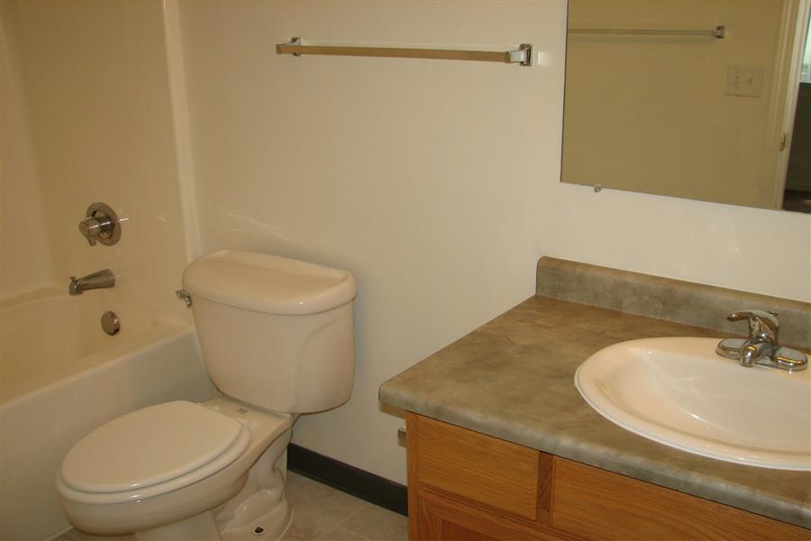 Gallery Photo 49