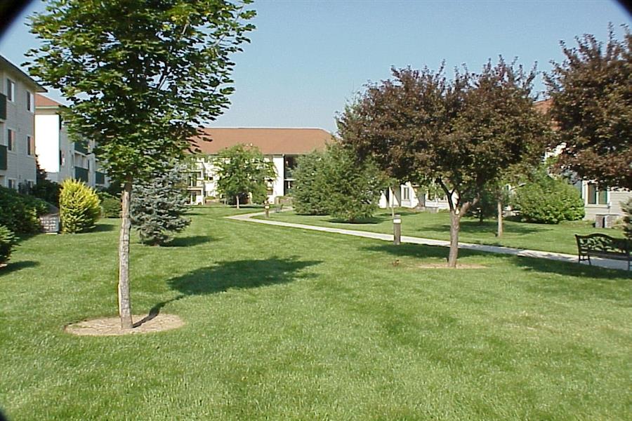 Gallery Photo 13