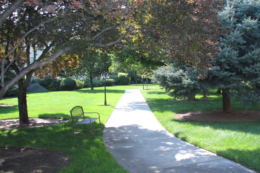 Gallery Photo 33