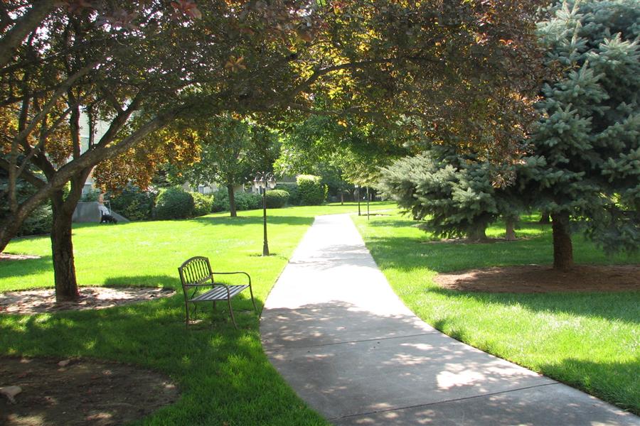 Gallery Photo 34