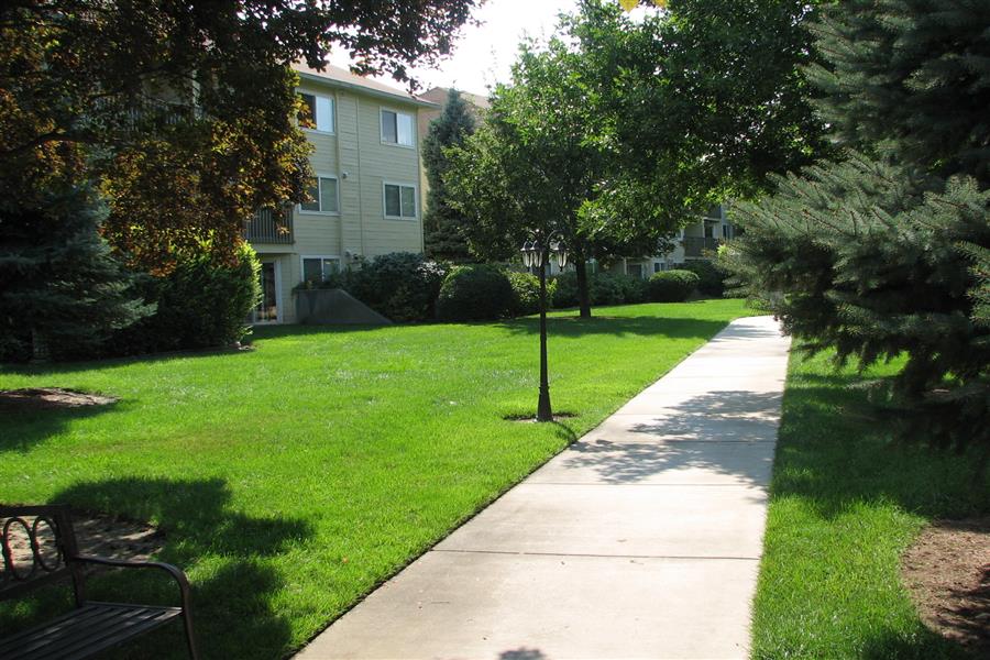 Gallery Photo 35