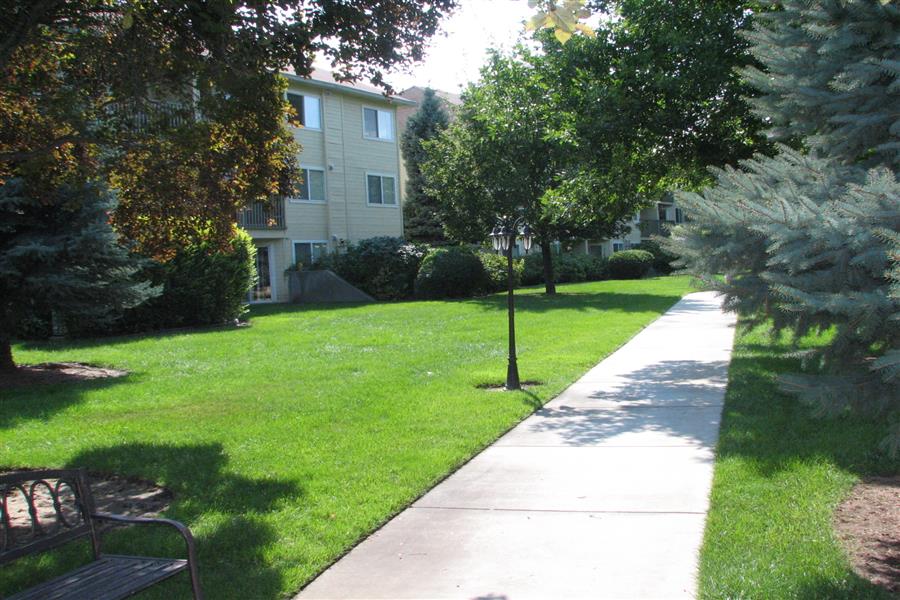Gallery Photo 36