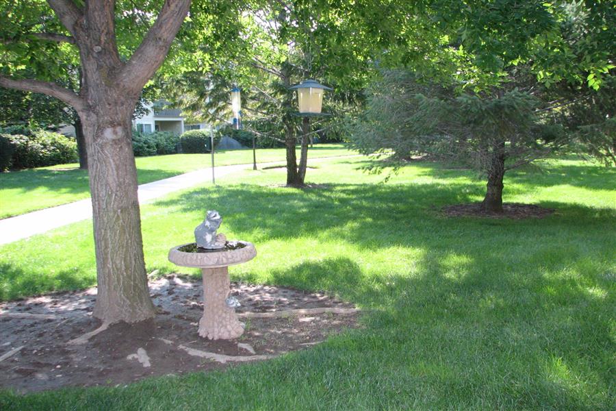 Gallery Photo 37