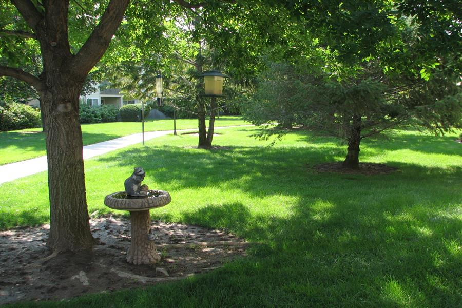 Gallery Photo 38